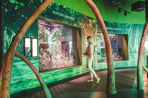 Cairns Aquarium Marine Life Encounter Ticket With 2-Course Lunch - Melbourne Tourism 3