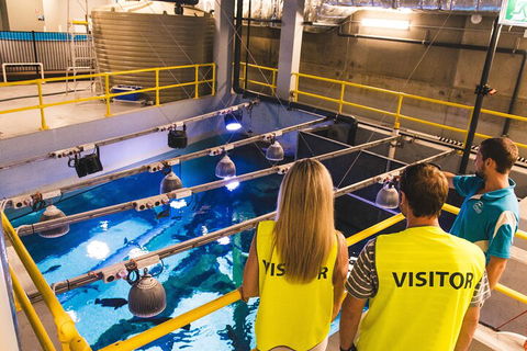Cairns Aquarium Marine Life Encounter Ticket With 2-Course Lunch - Melbourne Tourism 5