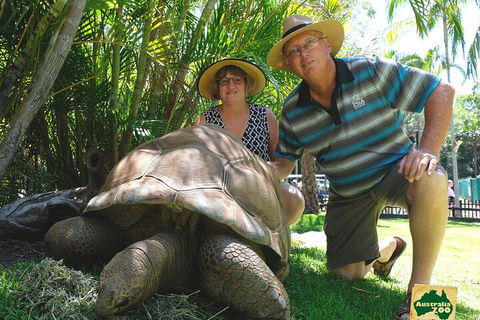 Small-Group Australia Zoo Day Trip From Brisbane - Melbourne Tourism 1
