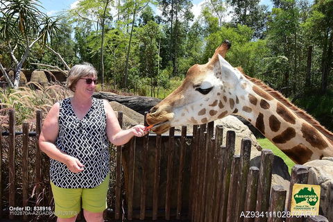 Small-Group Australia Zoo Day Trip From Brisbane - Melbourne Tourism 2