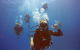 12-Day Great Barrier Reef Marine Conservation Program From Cairns - thumb 0