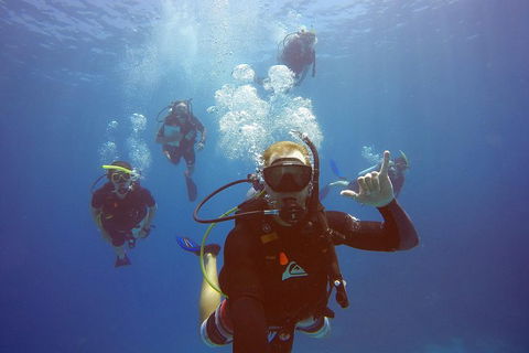 12-Day Great Barrier Reef Marine Conservation Program From Cairns - Melbourne Tourism 0