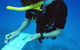 12-Day Great Barrier Reef Marine Conservation Program From Cairns - thumb 2
