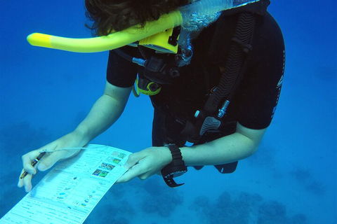 12-Day Great Barrier Reef Marine Conservation Program From Cairns - Melbourne Tourism 2