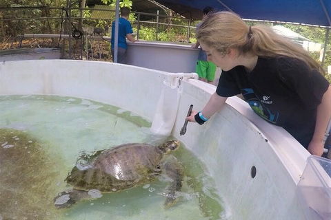 12-Day Great Barrier Reef Marine Conservation Program From Cairns - Melbourne Tourism 4