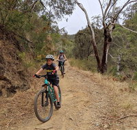 Mount Lofty Descent Bike Tour from Adelaide - Melbourne Tourism