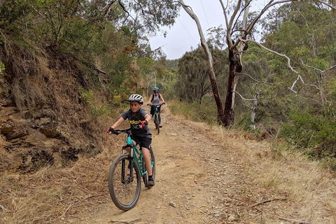 Mount Lofty Descent Bike Tour From Adelaide - Melbourne Tourism 0