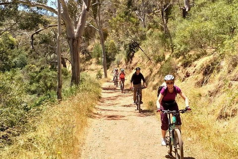Mount Lofty Descent Bike Tour From Adelaide - Melbourne Tourism 3