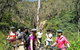 Mount Lofty Descent Bike Tour From Adelaide - thumb 5