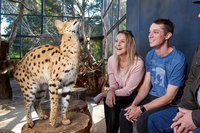 Book Viator Accommodation Vacations Melbourne Tourism Melbourne Tourism