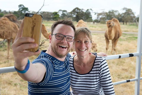 Off-Road Safari At Werribee Open Range Zoo - Melbourne Tourism 1
