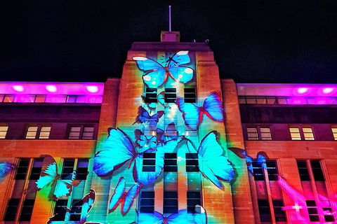 Vivid 90-Minute Sydney Harbour Small Group Catamaran Cruise - Melbourne Tourism 0