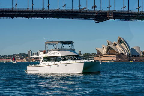 Vivid 90-Minute Sydney Harbour Small Group Catamaran Cruise - Melbourne Tourism 2