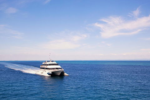 Tangalooma Island Resort Whale Watching Day Cruise - Melbourne Tourism 5