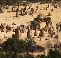 Pinnacles Sunset Dinner and Stargazing Experience a Small Group Tour - Melbourne Tourism