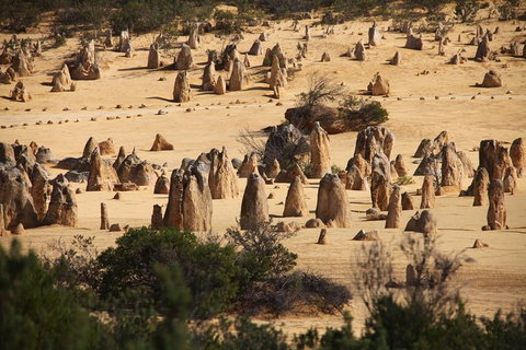 Pinnacles Sunset Dinner And Stargazing Experience A Small Group Tour - Melbourne Tourism 0