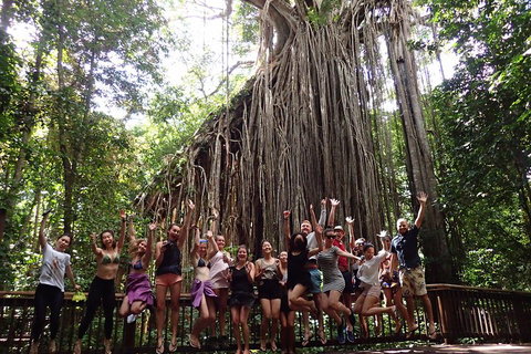 Atherton Tablelands Waterfalls Tour From Cairns - Melbourne Tourism 5