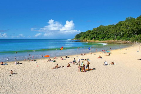 Noosa Everglades Serenity Cruise & Highlights Tour Inc. Lunch & Cruise - Melbourne Tourism 4