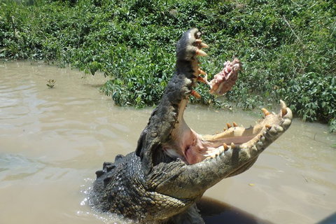 Litchfield And Jumping Crocodiles Full Day Trip From Darwin - Melbourne Tourism 3