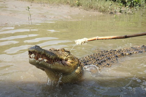 Litchfield And Jumping Crocodiles Full Day Trip From Darwin - Melbourne Tourism 4