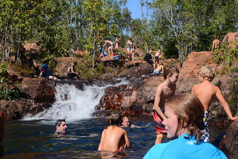 Litchfield And Jumping Crocodiles Full Day Trip From Darwin - Melbourne Tourism 5