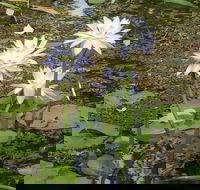 Yellow Water Cruise - Kakadu - Melbourne Tourism
