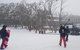 Mt Buller Day Trip From Melbourne - thumb 1