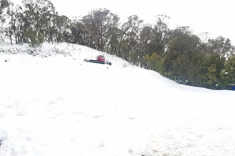 Mt Buller Day Trip From Melbourne - Melbourne Tourism 2