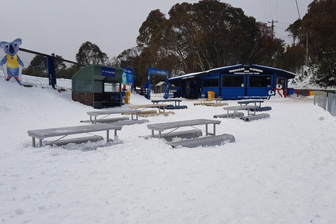 Mt Buller Day Trip From Melbourne - Melbourne Tourism 5