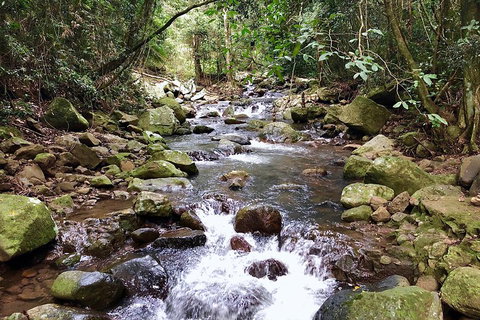 Springbrook Full Day Tour - Melbourne Tourism 0