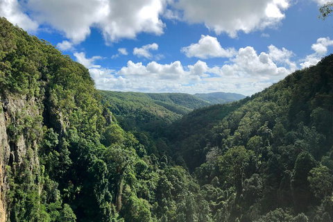 Springbrook Full Day Tour - Melbourne Tourism 1