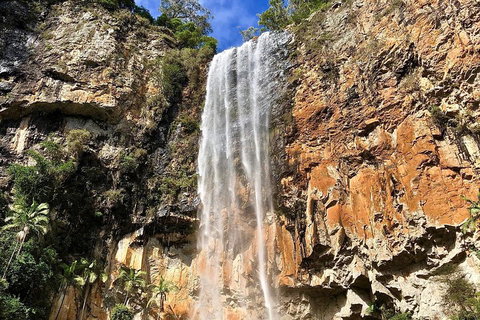 Springbrook Full Day Tour - Melbourne Tourism 2