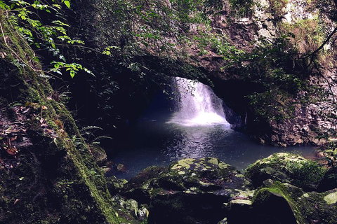 Springbrook Full Day Tour - Melbourne Tourism 3