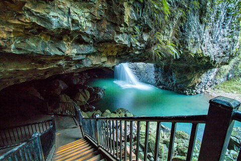 Springbrook Full Day Tour - Melbourne Tourism 4