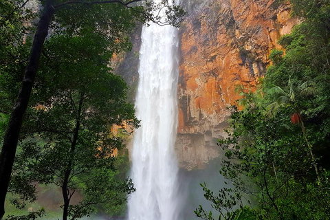 Springbrook Full Day Tour - Melbourne Tourism 5