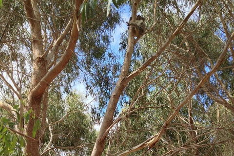 Kangaroo Island 4WD Tour - Best Of KI In 2 Days - Melbourne Tourism 0