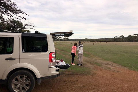 Kangaroo Island 4WD Tour - Flinders Chase - Melbourne Tourism 3