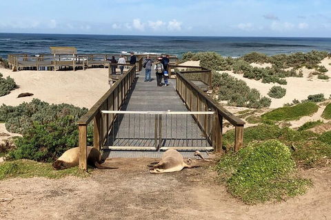Kangaroo Island 4WD Tour - Best Of KI - Melbourne Tourism 2