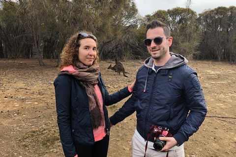 Kangaroo Island 4WD Tour - Best Of KI - Melbourne Tourism 3