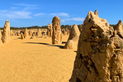Pinnacles Desert (Private) Day Tour - Melbourne Tourism 0