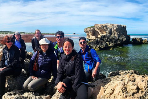 Pinnacles Desert (Private) Day Tour - Melbourne Tourism 4
