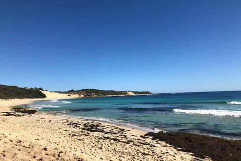 3d/2n Themed Camping Getaway - Private Campgrounds And National Parks - Melbourne Tourism 3