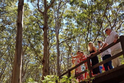 The All About Margaret River Tour: Wine, Coffee, Lunch And Forest - Melbourne Tourism 3