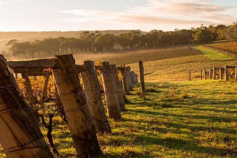 The All About Margaret River Tour: Wine, Coffee, Lunch And Forest - Melbourne Tourism 5