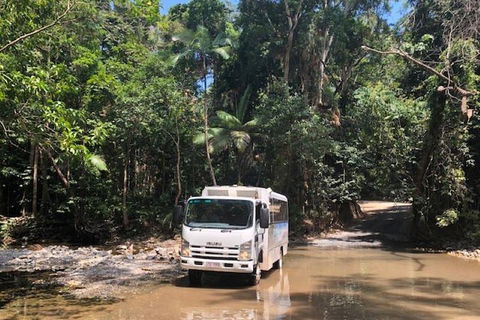 Cairns To Cooktown 4WD Tour - Melbourne Tourism 5