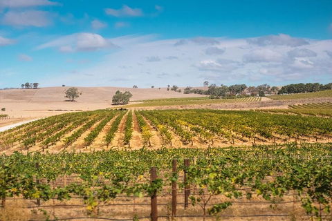 Barossa Valley Private Tour (from 2 To 11 People) - Melbourne Tourism 2