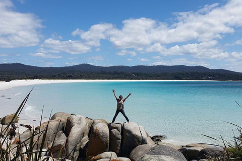 Tasmania 4 Day East Coast + Launceston - Melbourne Tourism 1