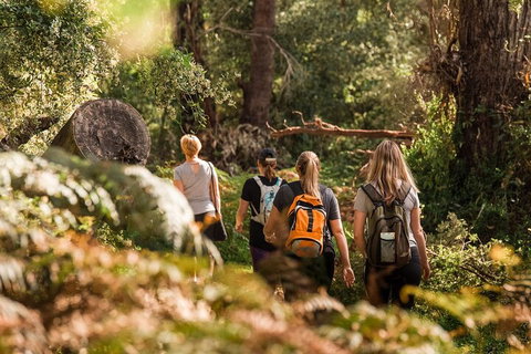Cabaret Cave Yoga & Mindful Hike - Melbourne Tourism 2