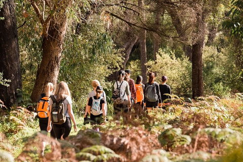 Half-Day Yanchep Ghost House Wilderness Guided Hike Tour - Melbourne Tourism 0