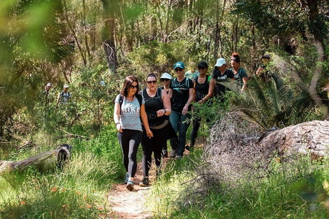 Half-Day Yanchep Ghost House Wilderness Guided Hike Tour - Melbourne Tourism 3